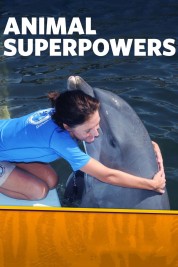 Animal Superpowers 2012