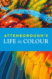 watch free Attenborough's Life in Colour hd online