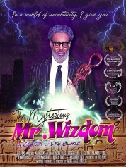 Watch Free The Mysterious Mr. Wizdom Full Movies Bflix