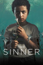 watch free The Sinner hd online