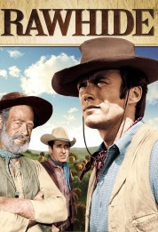 Watch Free Rawhide Full Movies Bflix