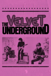 Watch Free The Velvet Underground Full Movies Bflix