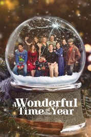 watch free A Wonderful Time of the Year hd online