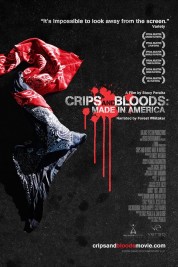 Watch Free Crips and Bloods: Made in America Full Movies Bflix