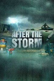 Watch Free After the Storm Full Movies Bflix