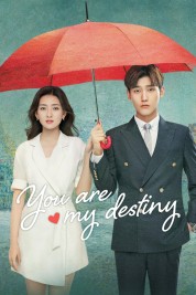 Watch Free You Are My Destiny Full Movies Bflix