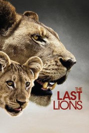 Watch Free The Last Lions Full Movies Bflix