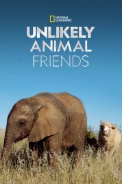 Watch Free Unlikely Animal Friends Full Movies Bflix