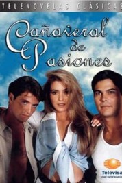 Cañaveral de Pasiones 1996