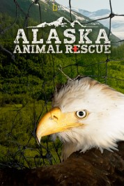 Watch Free Alaska Animal Rescue Full Movies Bflix