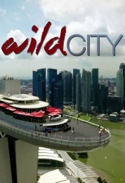 Watch Free Wild City Full Movies Bflix