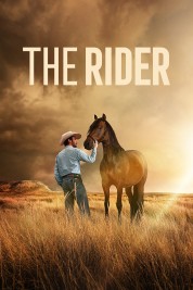 Watch Free The Rider Full Movies Bflix