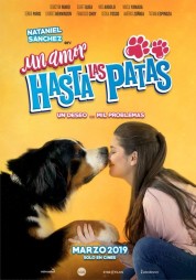 Watch Free Un amor hasta las patas Full Movies Bflix