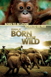 Watch free Born to Be Wild HD online