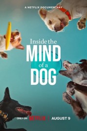 Watch Free Inside the Mind of a Dog Full Movies Bflix