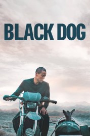 watch free Black Dog hd online