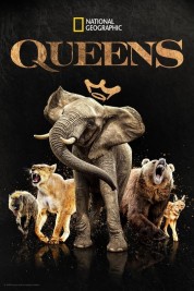 Watch Free Queens Full Movies Bflix