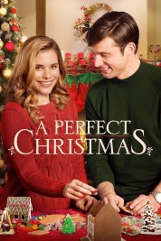 Watch Free A Perfect Christmas Full Movies Bflix