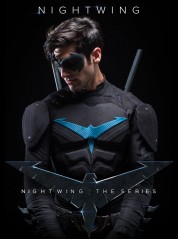 Nightwing: The Series 2014