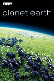 Watch Free Planet Earth Full Movies Bflix