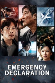 Watch Free Emergency Declaration Full Movies Bflix