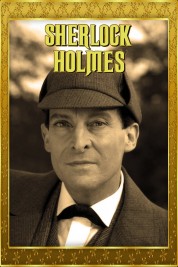 Watch Free Sherlock Holmes Full Movies Bflix