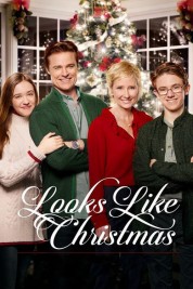 Watch Free Looks Like Christmas Full Movies Bflix