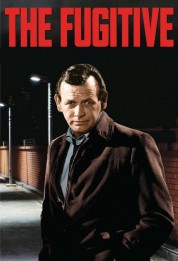 Watch Free The Fugitive Full Movies Bflix