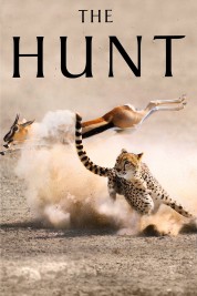 Watch Free The Hunt Full Movies Bflix