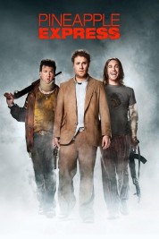 watch free Pineapple Express hd online