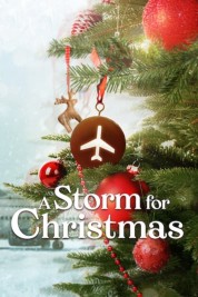 Watch Free A Storm for Christmas Full Movies Bflix