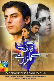 Zindagi Gulzar Hai 2012