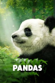 Watch Free Pandas Full Movies Bflix