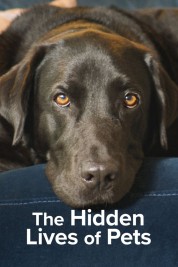 Watch free The Hidden Lives of Pets HD online