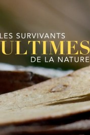 Watch Free Nature's Ultimate Survivors Full Movies Bflix