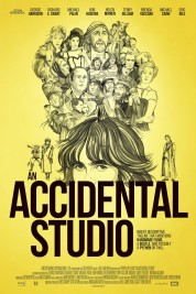 watch free An Accidental Studio hd online