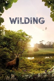 Watch Free Wilding Full Movies Bflix