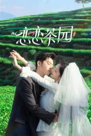 watch free Love in the Tea Garden hd online