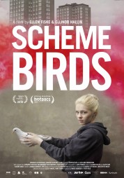 Watch Free Scheme Birds Full Movies Bflix