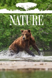 Watch free Nature HD online