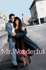 Watch Free Mr. Wonderful Full Movies Bflix