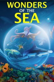 Watch Free Wonders of the Sea 3D Full Movies Bflix