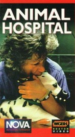 Watch Free Animal Hospital Full Movies Bflix