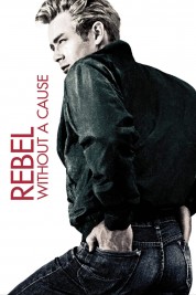 Watch Free Rebel Without a Cause Full Movies Bflix