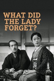 Watch Free What Did the Lady Forget? Full Movies Bflix