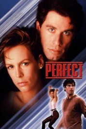 Watch free Perfect HD online