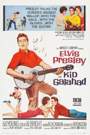 Watch free Kid Galahad HD online