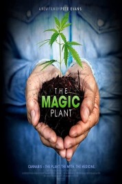 Watch Free The Magic Plant Full Movies Bflix