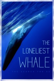 Watch Free The Loneliest Whale: The Search for 52 Full Movies Bflix