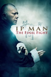 watch free Ip Man: The Final Fight hd online